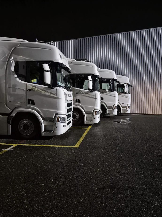 Lastwagen Flotte